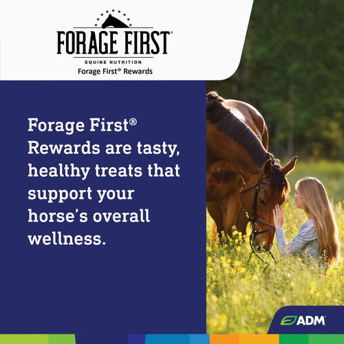 ADM Forage First Horse Rewards Apple Flavored Horse Treat 3lbs.