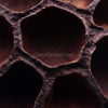 Dried Lotus Pods 3 Pack
