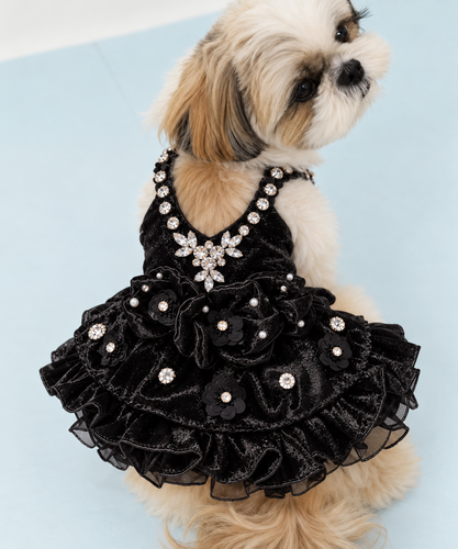 Handmade Black Satin Jeweled Pet Dress