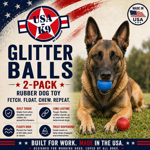 Glitter Ball 2-Pack Dog Toy | Soft Rubber Floating Fetch Ball with Treat Dispenser | USA Made