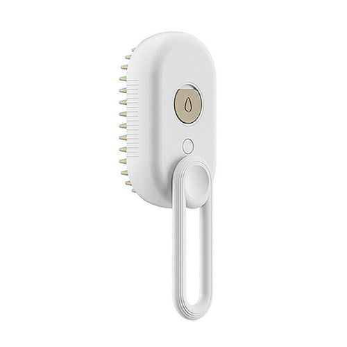 3 In 1 Electric Spray Cat Steam Brush