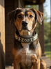 Epic Padded Leather Dog Collar with Beaded Design A