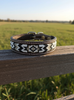Epic Padded Leather Dog Collar with Beaded Design A
