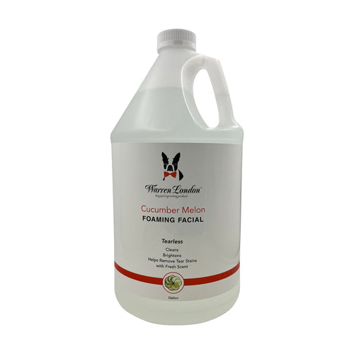 Cucumber Melon Foaming Facial - Professional Size - Refill