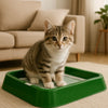 Pee Pad Holder Potty Pads Reusable Mesh Open Top Training Toilet Potty Tray Comfortable Toilet with Protection for Large Puppy
