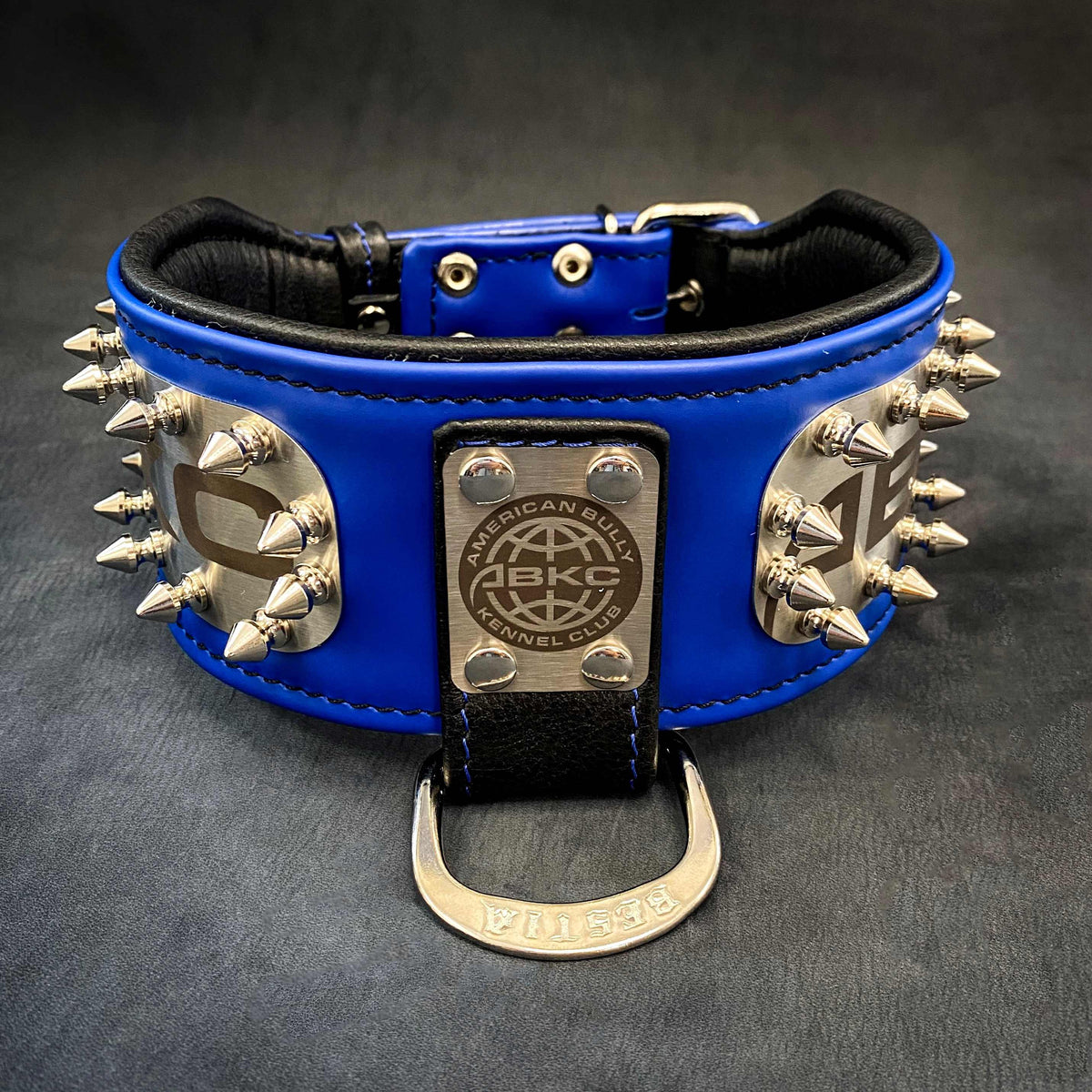 The ABKC Collar - Audubon, NJ - Garden State Pet Center