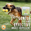 Herbal Defense Powder
