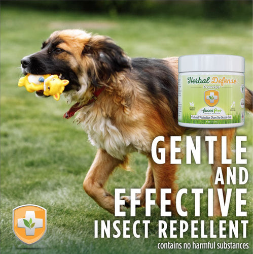 Herbal Defense Powder