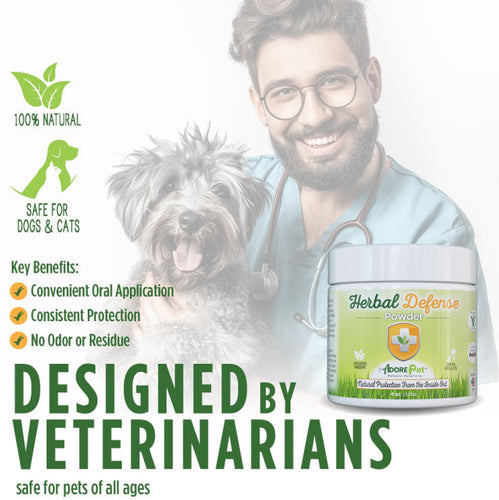 Herbal Defense Powder