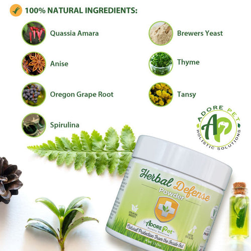 Herbal Defense Powder