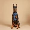 The NoMad Adjustable Luxe Harness - Denim