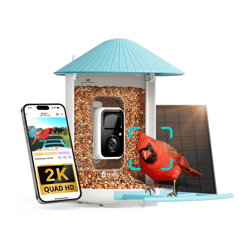 Birdfy Feeder - Smart Bird Feeder with Camera Standard Kit