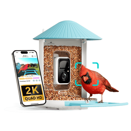 Birdfy Feeder - Smart Bird Feeder with Camera Standard Kit