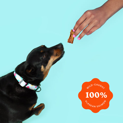 Crunchy Jerky Dog Treats - Snappin' Salmon