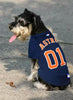 Pet Jersey Houston Astros / ALVAREZ