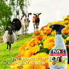 Absorbine Flys-X Multi-Species Fly Spray for Livestock & Pets Insect Protection 32 oz.