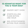 Advantus Flea Soft Chews for Small Dogs 4-22 lbs. 30 Count