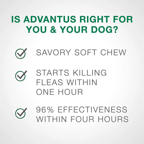 Advantus Flea Soft Chews for Small Dogs 4-22 lbs. 30 Count