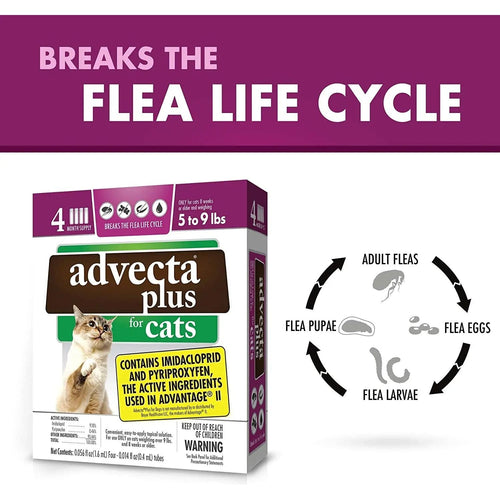 Advecta Plus Flea and Tick Treatment for Small Cats 4 Count