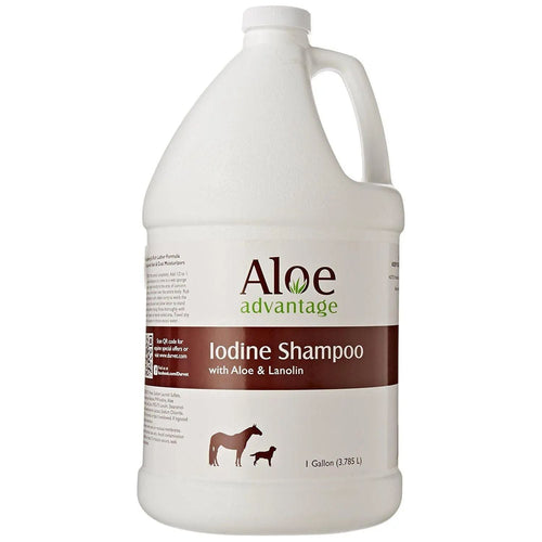 Advantage Aloe & Lanolin Iodine Animal Shampoo 1 Gallon Concentrate