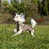Eco-Ball: The Ultimate Natural Cotton Rope Dog Toy for Happy Pups And Dental Health