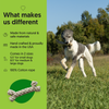 ECO-BONE: Natural Cotton Dog Toy
