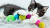 Eco-Friendly Wool Cat Toy - Eco-Catty Pillar