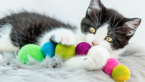 Eco-Friendly Wool Cat Toy - Eco-Catty Pillar