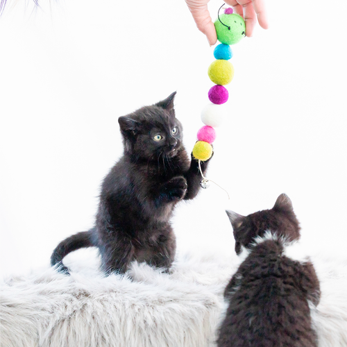 Eco-Friendly Wool Cat Toy - Eco-Catty Pillar