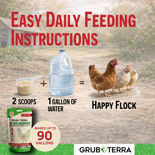Hen Harmony. The Daily All In One Supplement for Flock Resilience