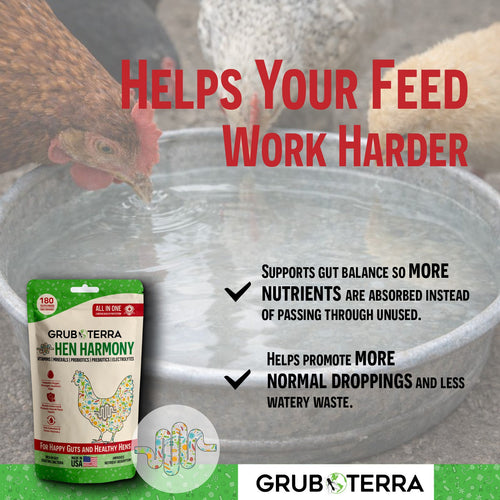 Hen Harmony. The Daily All In One Supplement for Flock Resilience