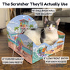 Meow Beach Sanctuary