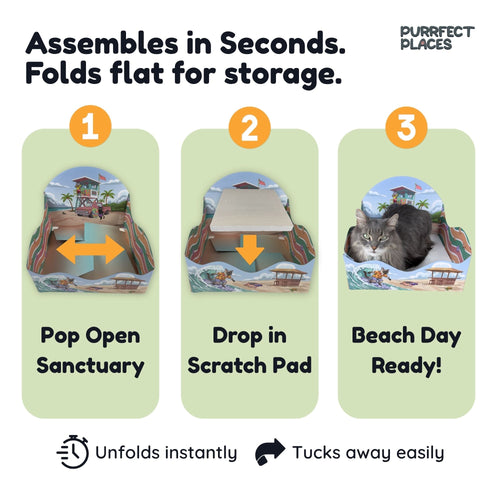 Meow Beach Sanctuary