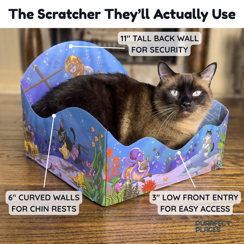 Meow Reef Sanctuary