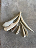 Deer Antler- Large