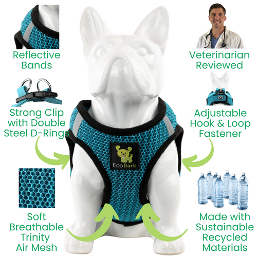 EcoBark Step In Dog Harness - XXXS to Small Breeds- Reflective Soft Mesh Harness for Teacup, Small Dogs and Puppies / Aqua Sport