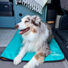 Non-Slip Settle Mat: Grip backing