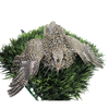 Autumn Sparkly Quail Hatching Eggs