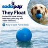 Glitter Ball 3-Pack Dog Toy | Soft PUP-X Rubber Floating Fetch Ball with Treat Dispenser | USA Made