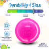 Pink & Blue Glitter Ball 2-Pack Dog Toy | Soft PUP-X Rubber Floating Fetch Ball with Treat Dispenser | USA Made (Copy)