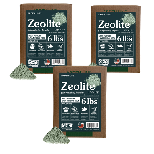 Zeolite Mineral Lava Rocks (Regular)