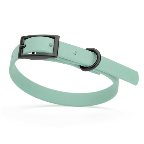 Dogline Biothane Waterproof Dog Collar with Black Hardware - Size XS (9 to 12 inches)