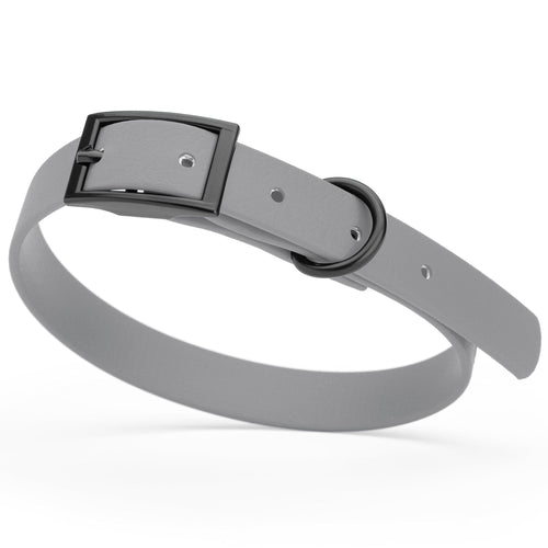BioThane Waterproof Dog Collar - XS: L 9-12 x W 1/2 - Black OR Brass Hardware