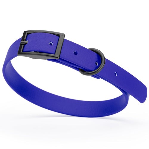 BioThane Waterproof Dog Collar - XS: L 12-15 x W 5/8 - Black OR Brass Hardware