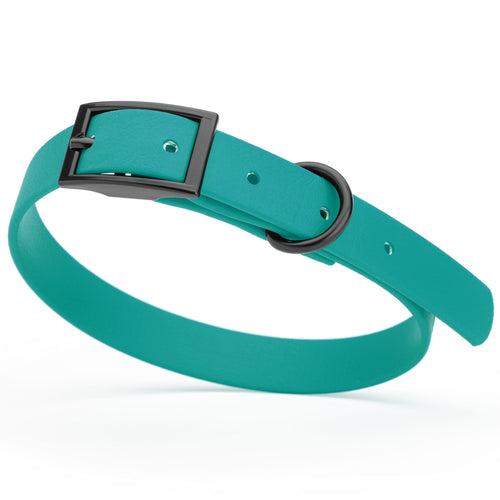BioThane Waterproof Dog Collar - XS: L 9-12 x W 1/2 - Black OR Brass Hardware