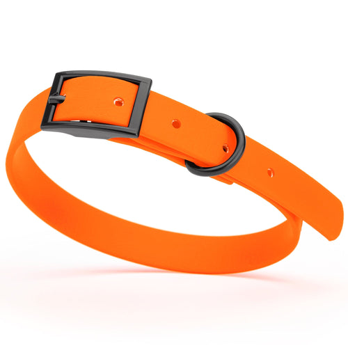 BioThane Waterproof Dog Collar - XS: L 9-12 x W 1/2 - Black OR Brass Hardware