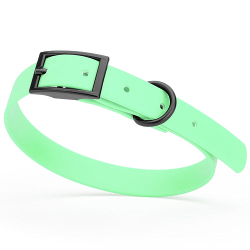 BioThane Waterproof Dog Collar - XS: L 9-12 x W 1/2 - Black OR Brass Hardware