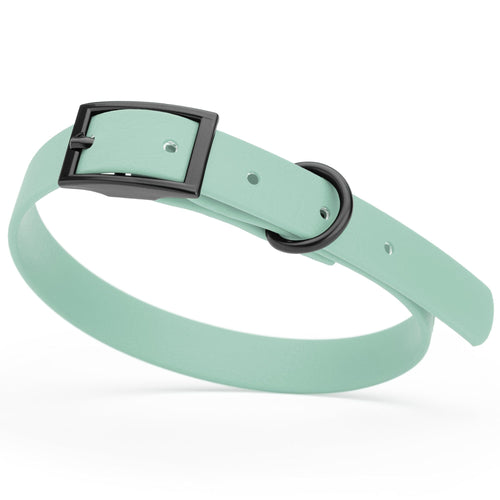 BioThane Waterproof Dog Collar - XS: L 9-12 x W 1/2 - Black OR Brass Hardware