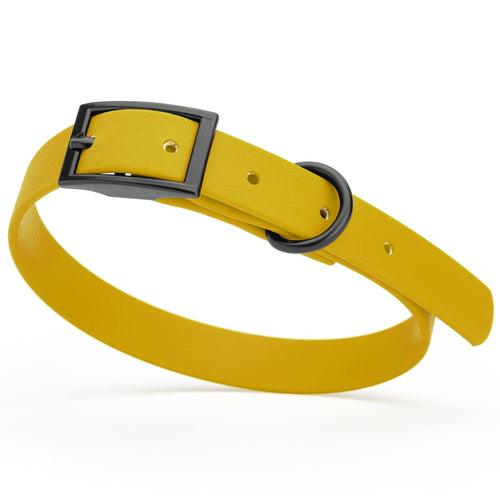 BioThane Waterproof Dog Collar - XS: L 12-15 x W 5/8 - Black OR Brass Hardware