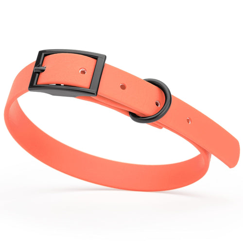 BioThane Waterproof Dog Collar - XS: L 9-12 x W 1/2 - Black OR Brass Hardware